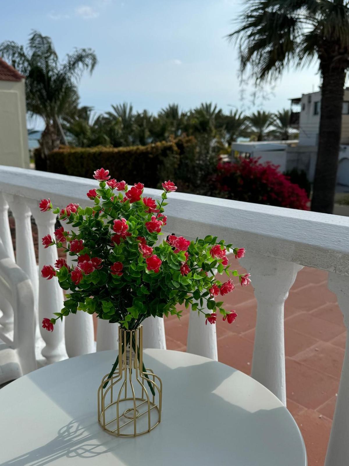 Seaside Serenity Villa ลาร์นาคา ภายนอก รูปภาพ