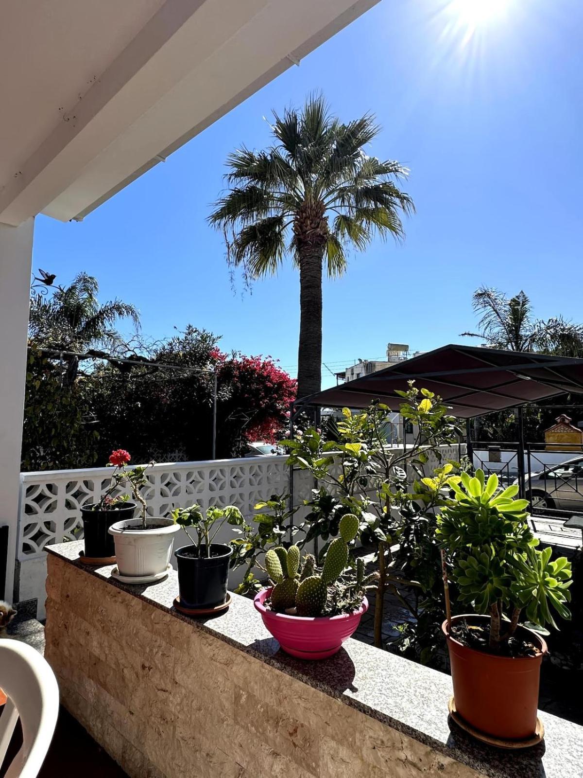 Seaside Serenity Villa ลาร์นาคา ภายนอก รูปภาพ